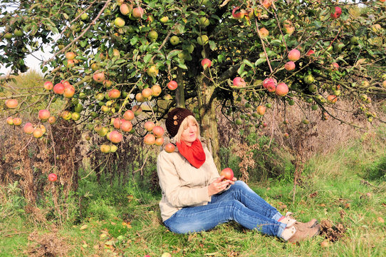 Frau genie&szlig;t den Herbst unterm Apfelbaum