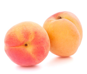 Ripe apricot fruit
