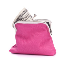 Purse with hundred dollar banknote