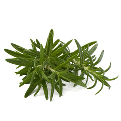 Sweet rosemary leaves