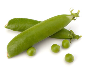 Fresh green pea pod