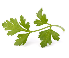 parsley