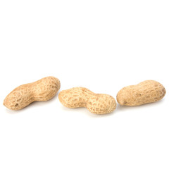 Peanut