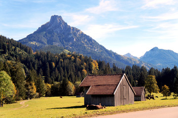 Fototapeta na wymiar Jesień w Allgäu