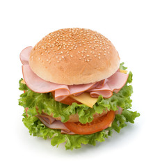 Junk food hamburger