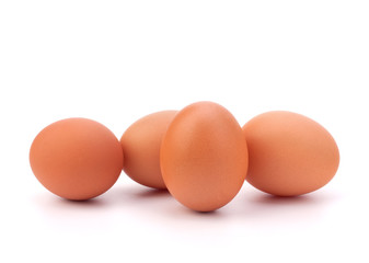 eggs