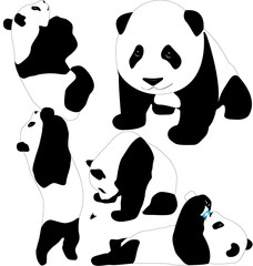Obraz premium Panda babies, cubs vector silhouettes isolated on white background. Layered