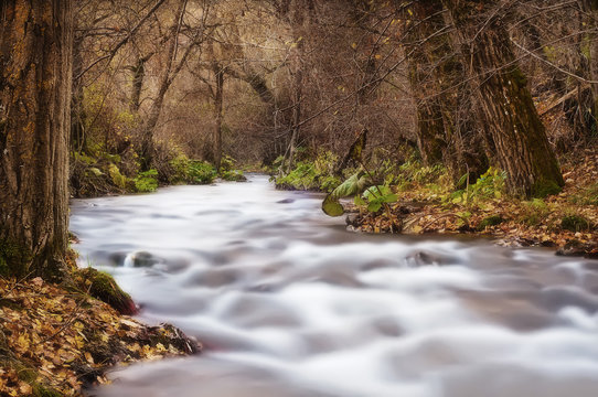 torrente incontaminato in paesaggio autunnale