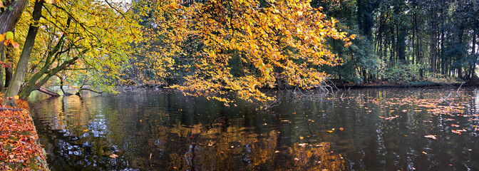 Panorama of forest lake in autumn.