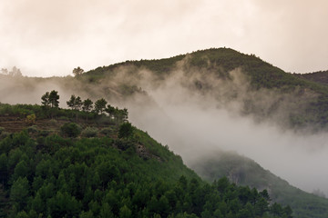 Niebla en la montaña.