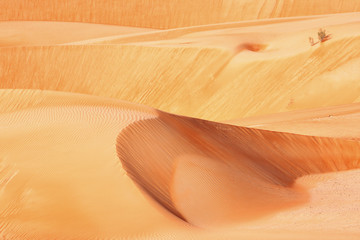 Fototapeta na wymiar A view of the rolling sand dunes of the Arabian desert