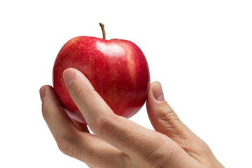 red apple in a hand