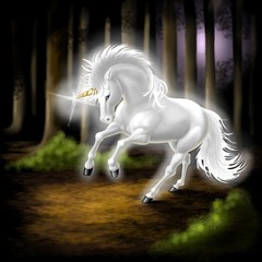 unicorno © Piumadaquila.it