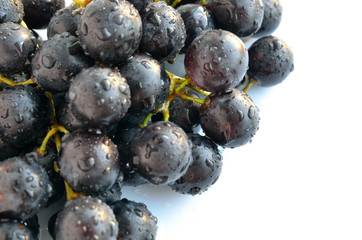 Red grapes, sprayed with water. Isolated on white. Studio shot.