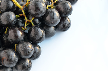 Red grapes, sprayed with water. Isolated on white. Studio shot.