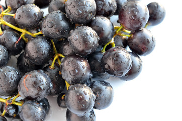 Grapes isolated on white