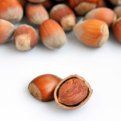 Hazelnuts on a white background
