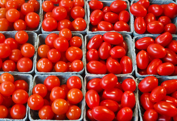 Red Ripe Grape Tomatoes