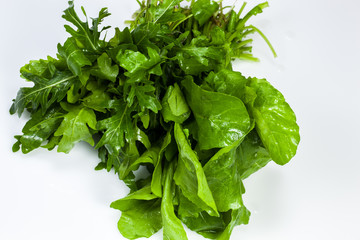 Rucola