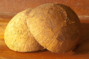 coconut coconut shell