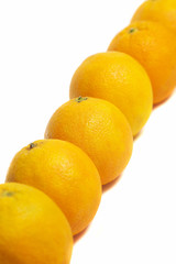 Line of oranges