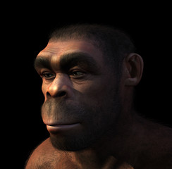 Homo Erectus Portrait © AlienCat