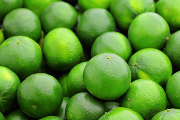 lime citrus fruit