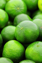lime citrus fruit