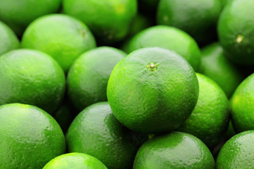 lime citrus fruit