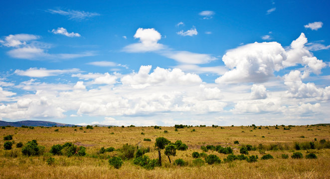 African landscape with wildebeests, Maasai Mara, Kenya