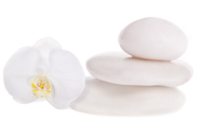 three white stones and orchid