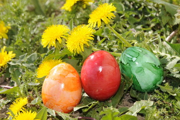 Ostereier und Löwenzahn