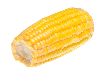 corn isolated on white