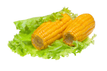 corn isolated on white