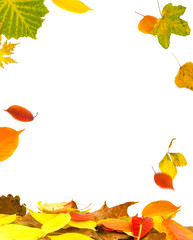 Herbstlaub