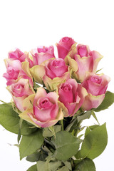 beautiful bouquet of pink roses