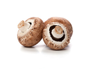 brown mushrooms on white