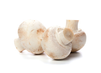 mushrooms on white