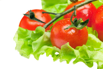 tomatoes isolated on white