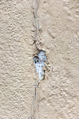 Schäden an Hauswand