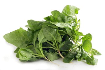 green leaf vegetable spinach