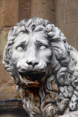 Medici Lion