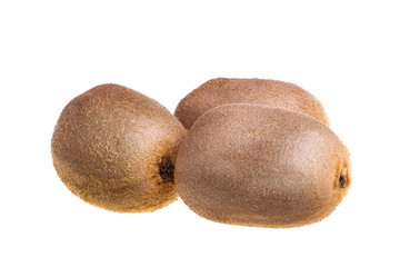 kiwi isolated on white