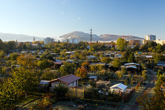Kleingarten, Morgen, Frost, Freiburg