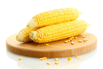 fresh corn on wooden cutting board, isolated on white