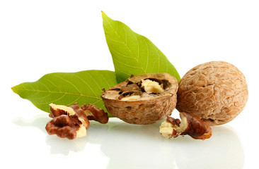 Fototapeta na wymiar walnuts with green leaves, isolated on white