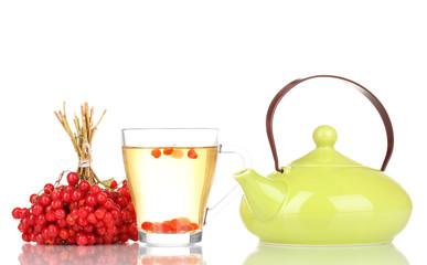 tea with red viburnum isolated on white