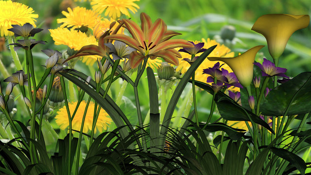 Flowers