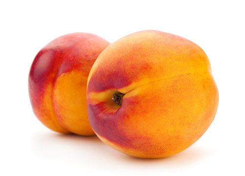 Two nectarine fruit