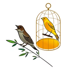 Photo sur Aluminium Oiseaux en cages Rossignol et canari dans la cage dorée